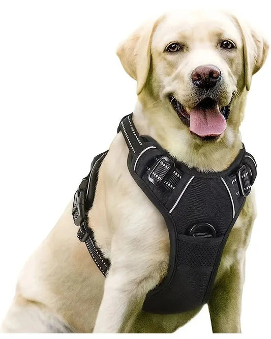 PawGuard™ 2-in-1 Vest Harness